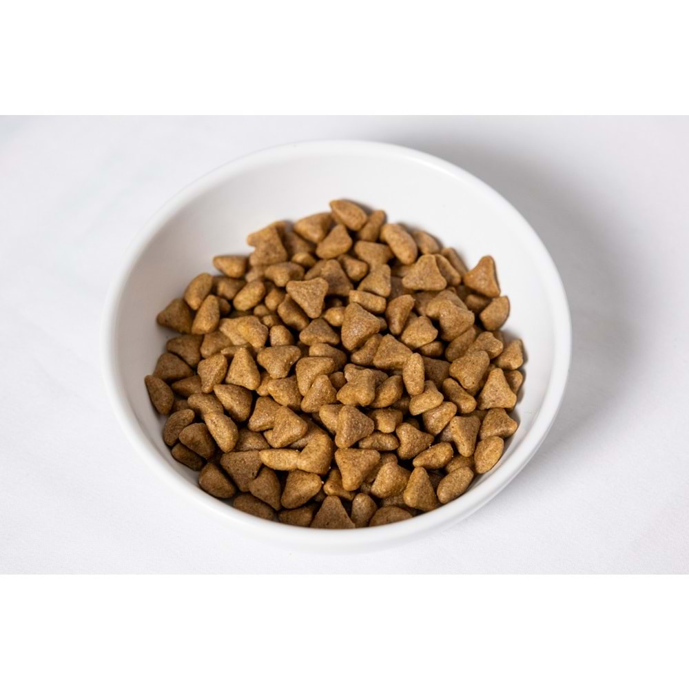Fresh Ultra Premium Hipoalerjenik Kuzulu Yavru Köpek Maması 10 KG