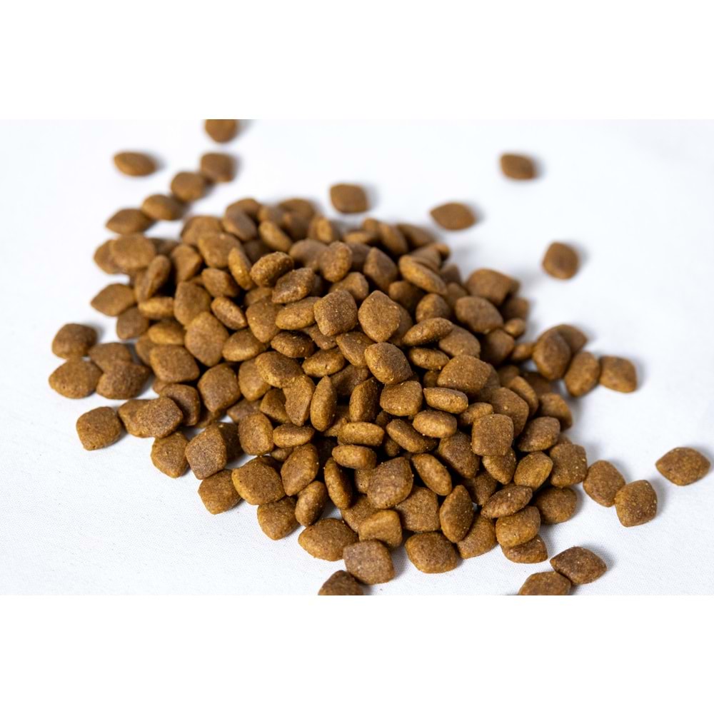 Fresh Ultra Premium Hipoalerjenik Tavuklu Kısır Kedi Maması 10 KG​
