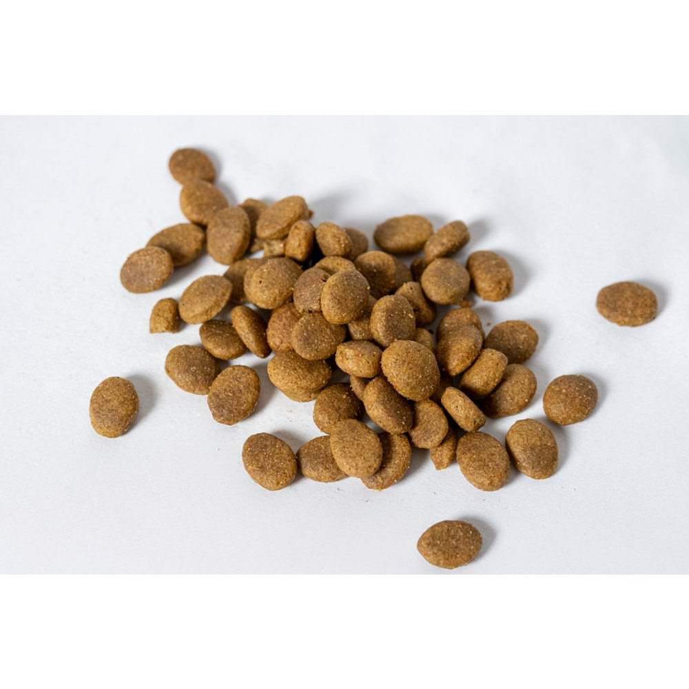 Fresh Ultra Premium Hipoalerjenik Kuzulu Orta ve Büyük Irk Köpek Maması 10 KG