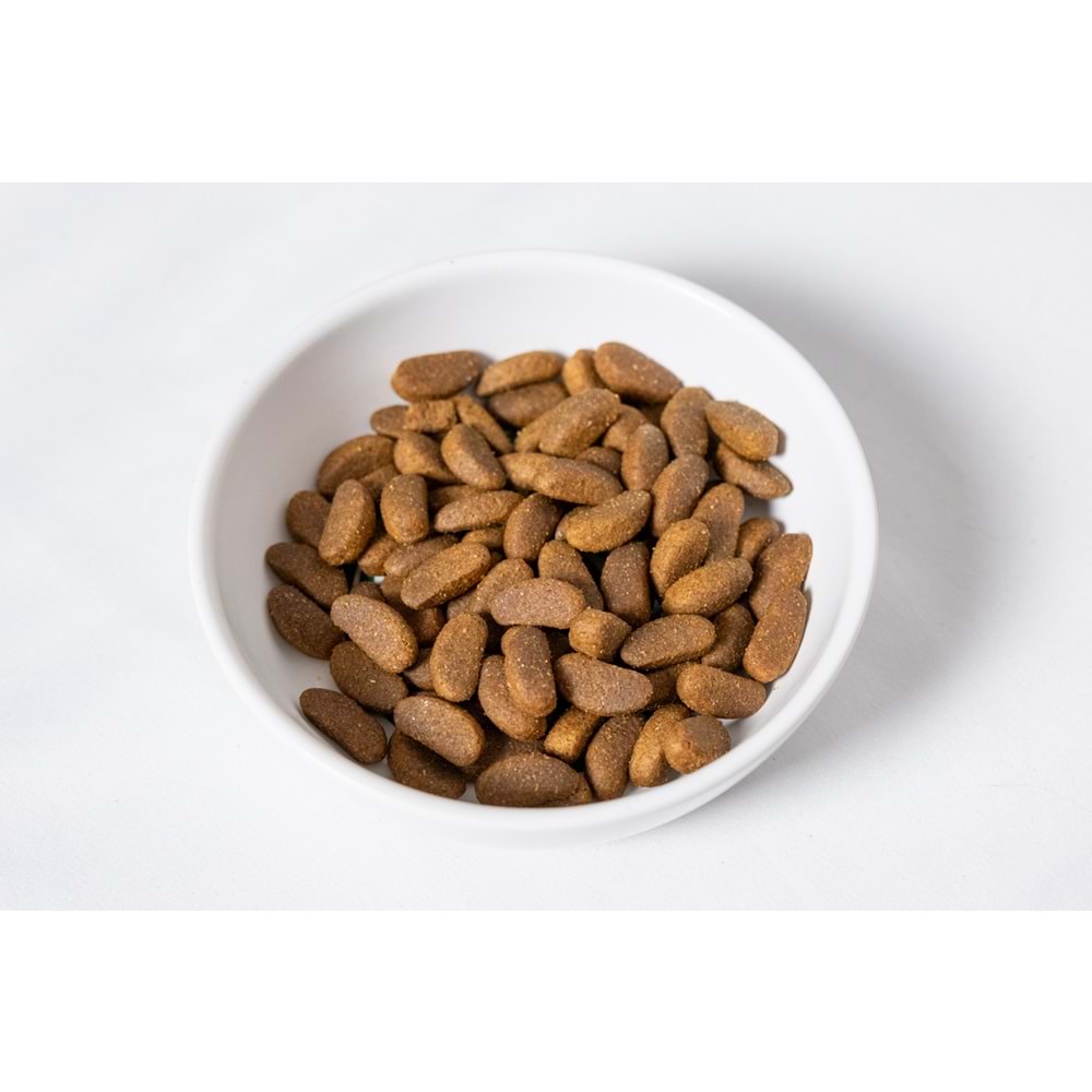 Fresh Ultra Premium Hipoalerjenik Kuzulu Yetişkin Kısır ve Light Köpek Maması 10 KG