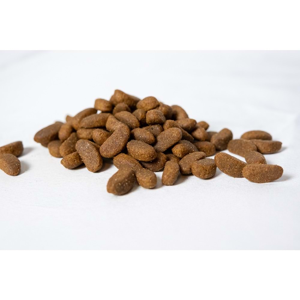Fresh Ultra Premium Hipoalerjenik Kuzulu Yetişkin Kısır ve Light Köpek Maması 10 KG