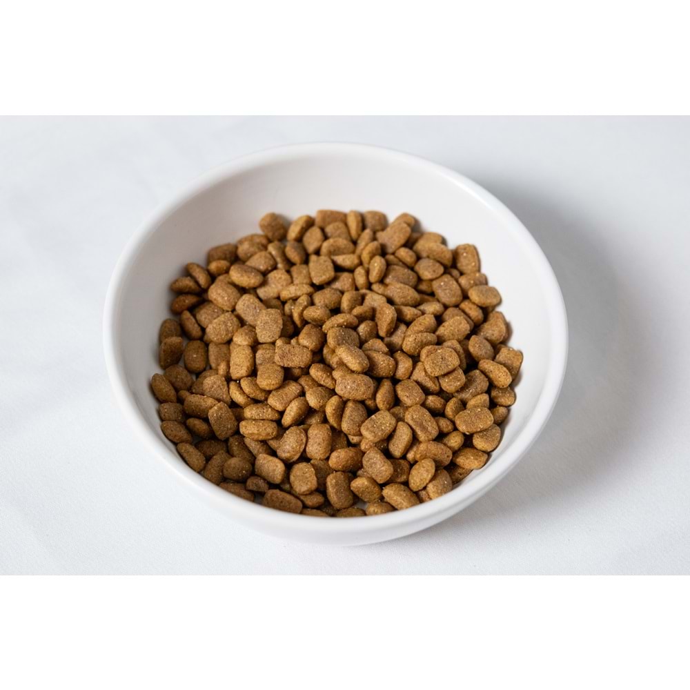 Fresh Ultra Premium Hipoalerjenik Ördekli Balkabaklı Köpek Maması 10 KG