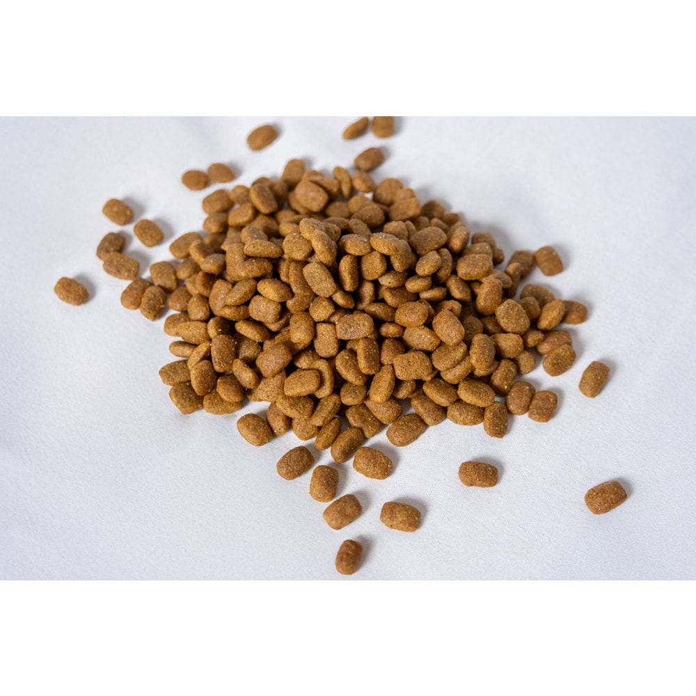 Fresh Ultra Premium Hipoalerjenik Ördekli Balkabaklı Köpek Maması 10 KG