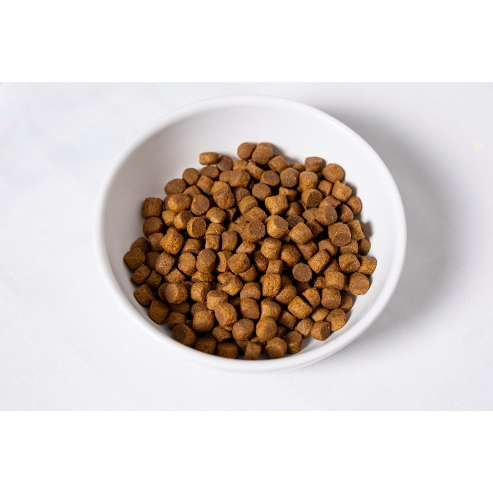 Fresh Ultra Premium Hipoalerjenik Somonlu Küçük Irk Köpek Maması 2 KG
