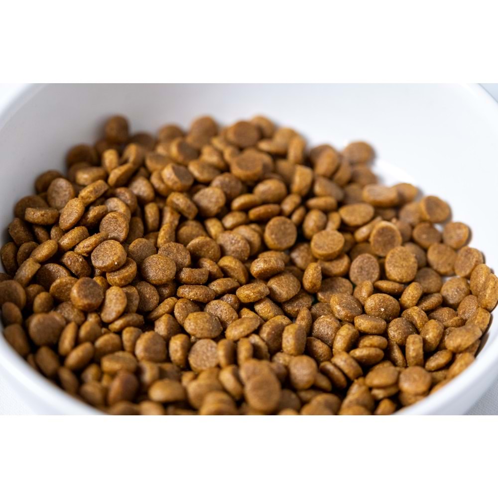 Fresh Ultra Premium Hypoallergenic Kuzulu Anne ve Yavru Kedi Maması 1.5 KG