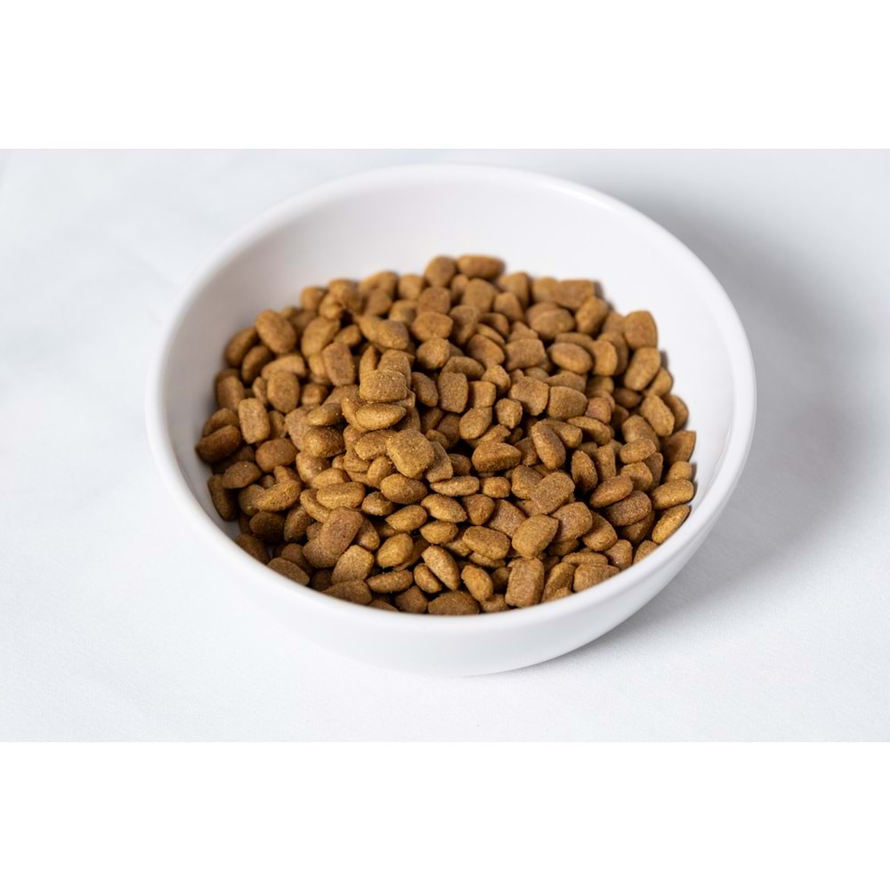Fresh Ultra Premium Hipoalerjenik Somonlu Kısır Kedi Maması 1,5 KG