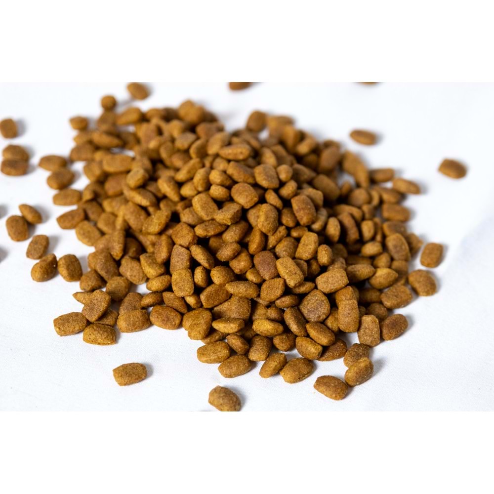 Fresh Ultra Premium Hipoalerjenik Somonlu Kısır Kedi Maması 1,5 KG