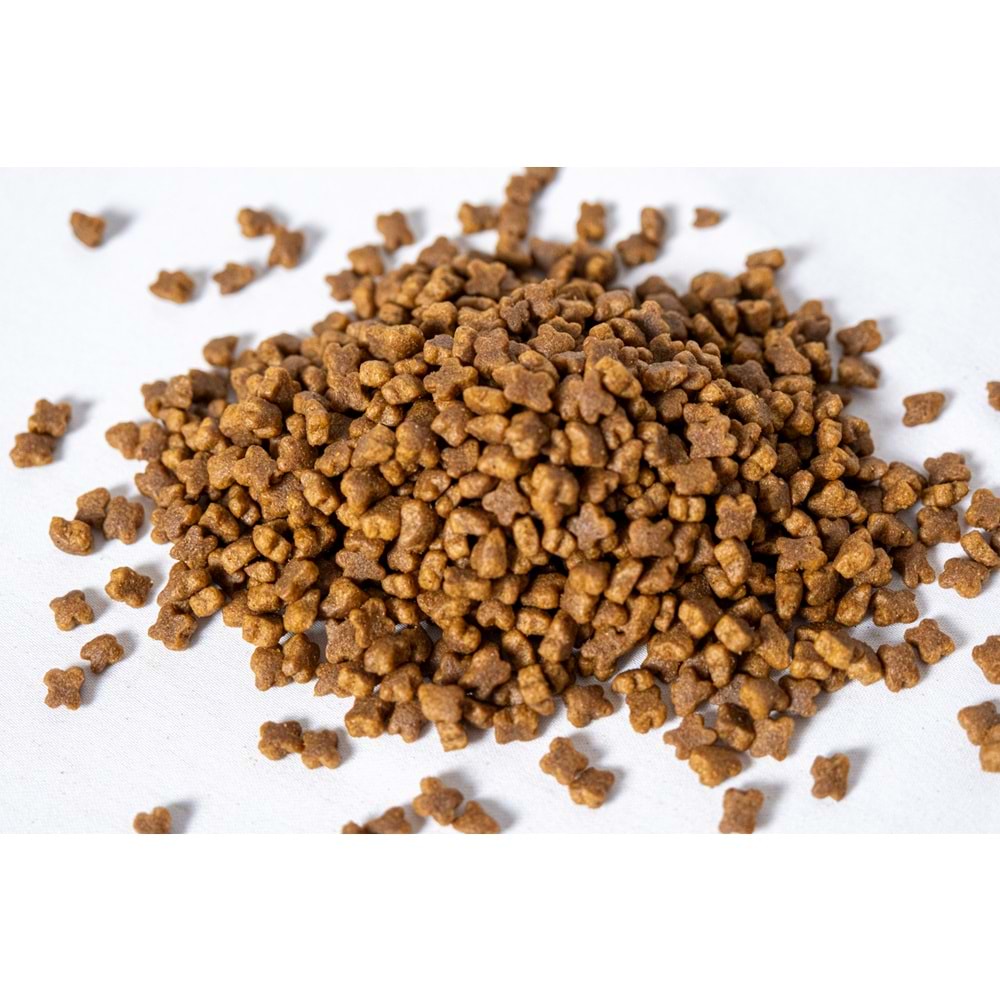 Fresh Ultra Premium Hipoalerjenik Kuzulu 7 Yaş Üzeri Kedi Maması 10 KG