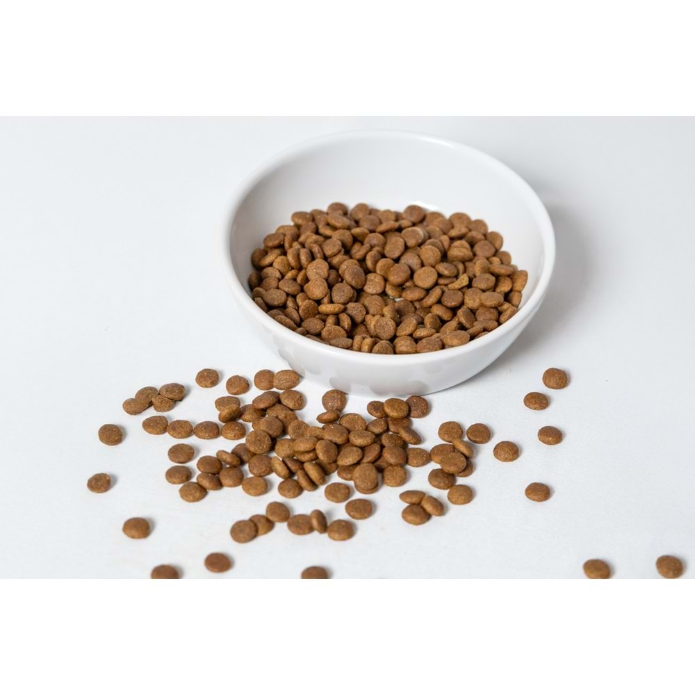 Fresh Ultra Premium Hipoalerjenik Tavuklu Urinary Yetişkin Kedi Maması 10 KG