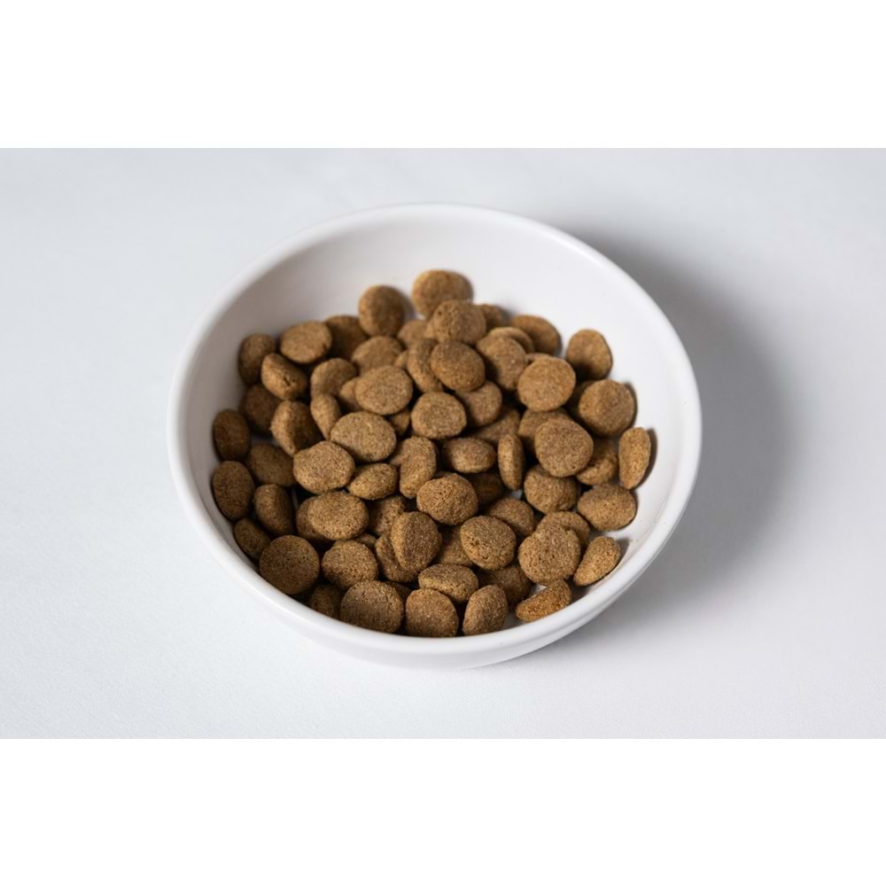 Jada Life Kuzu ve Pirinçli Yetişkin Köpek Maması 12+3 KG