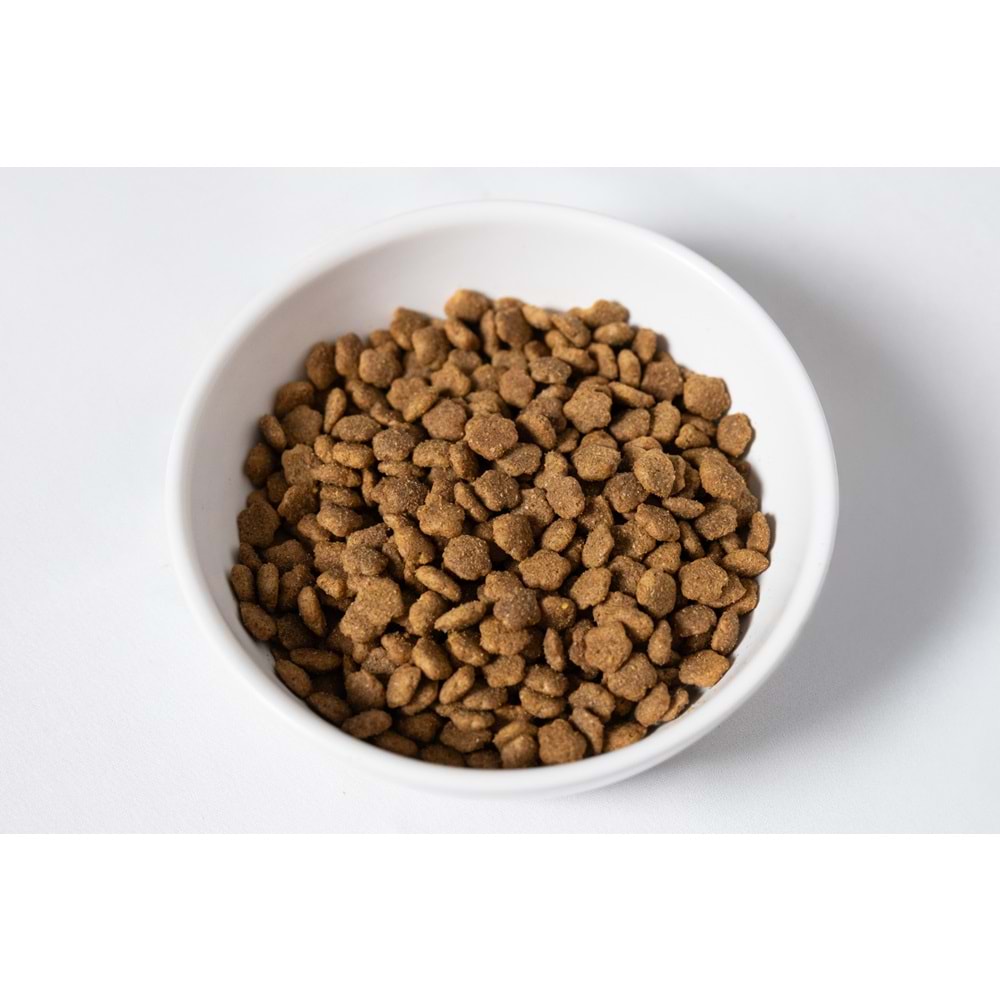 Jada Life Tavuklu Yetişkin Kedi Maması 12+3 KG