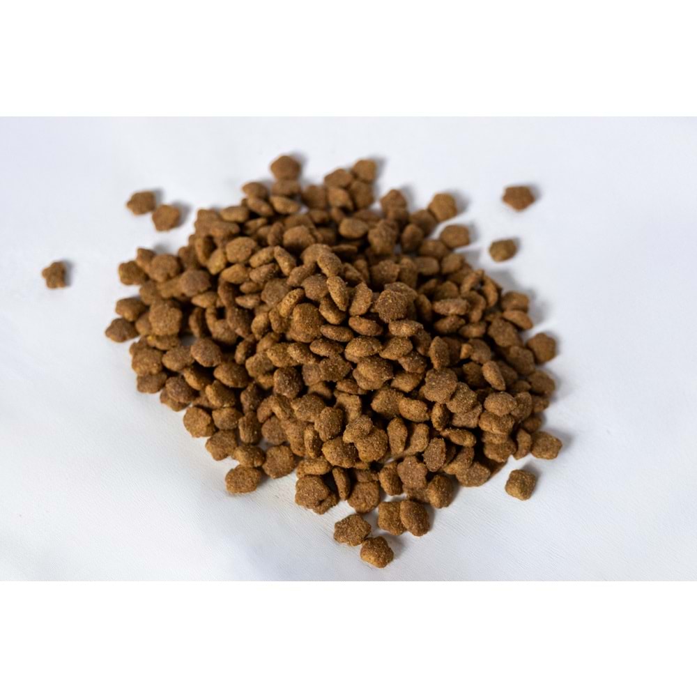 Jada Life Tavuklu Yetişkin Kedi Maması 12+3 KG