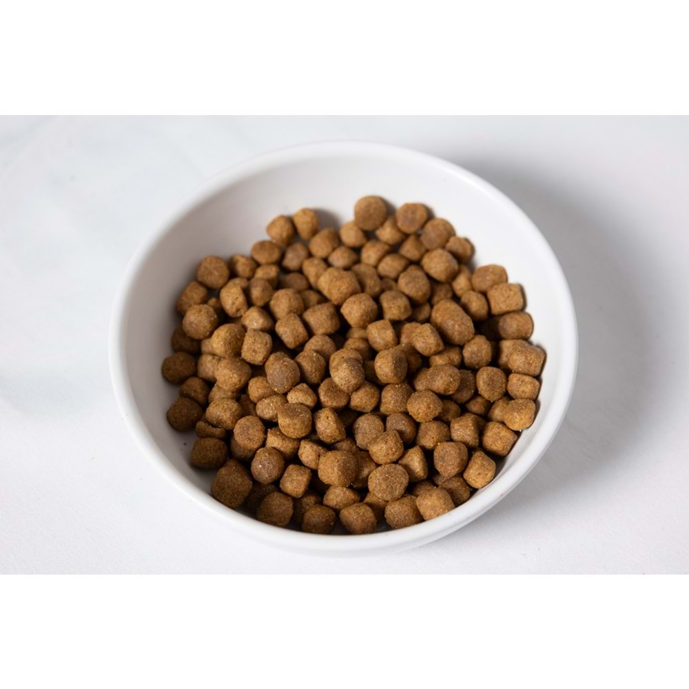 Jada Life Kuzulu ve Pirinçli Yavru Köpek Maması 10+2KG