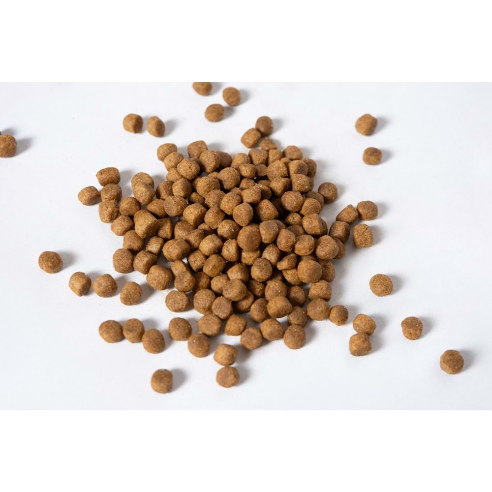 Jada Life Kuzulu ve Pirinçli Yavru Köpek Maması 10+2KG
