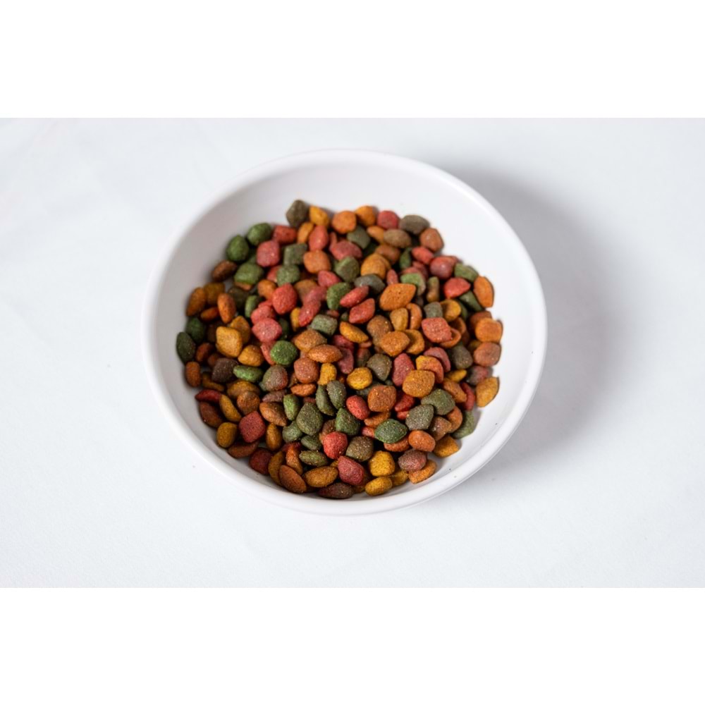 Jada Life Karışık Lezzetli Yetişkin Köpek Maması 12+3 KG