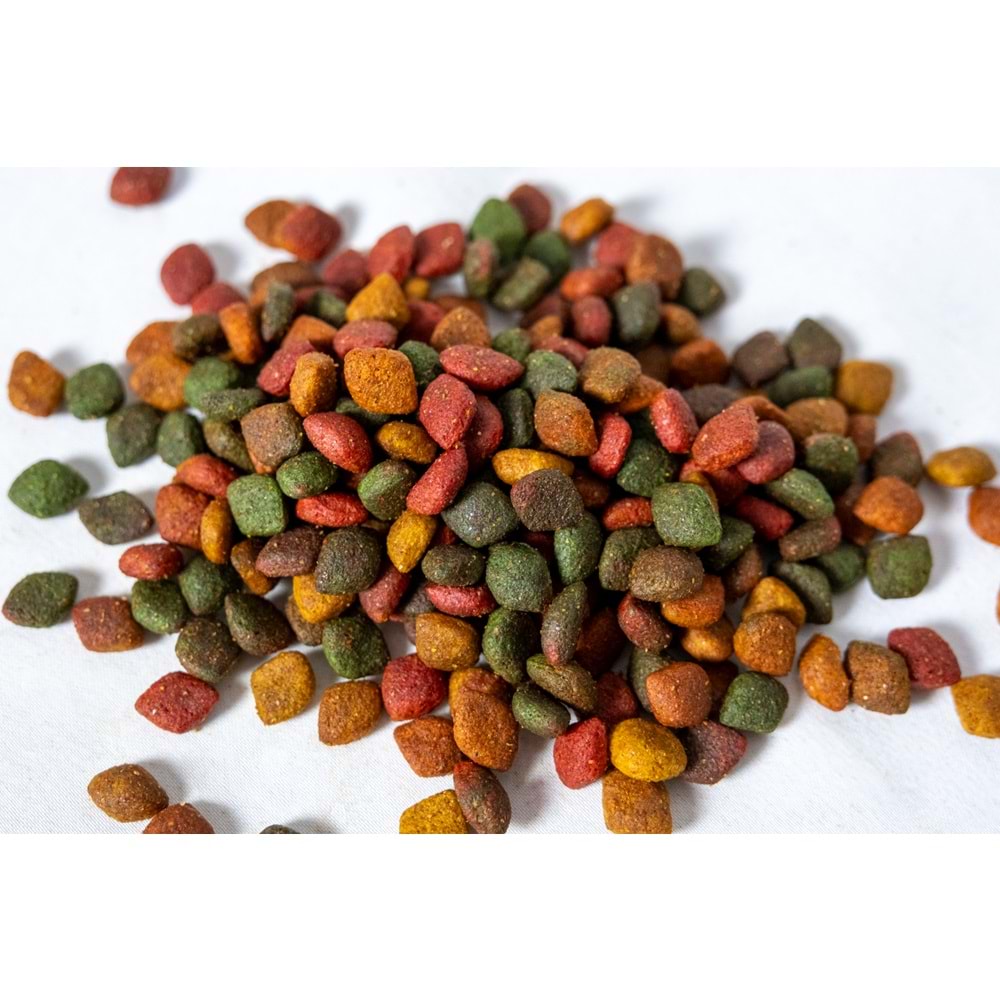 Jada Life Karışık Lezzetli Yetişkin Köpek Maması 12+3 KG