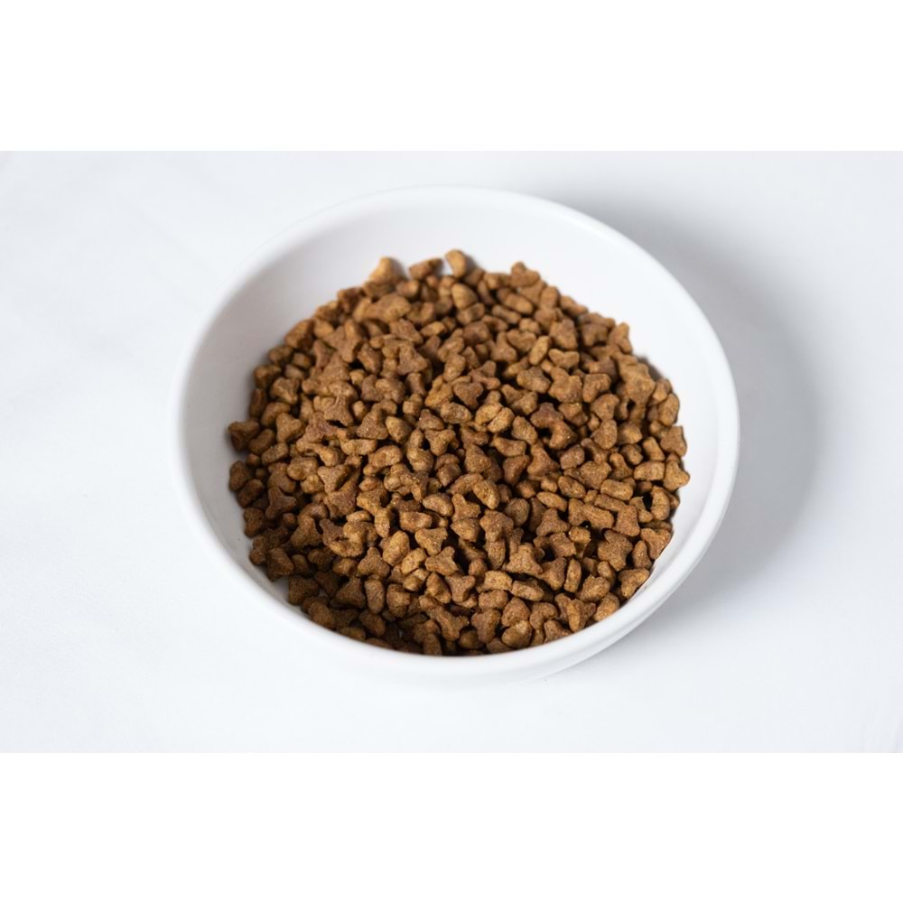 Jada Life Tavuklu Yavru ve Anne Kedi Maması 12 KG