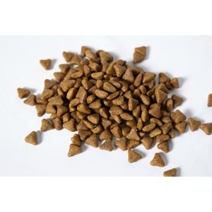 Fresh Ultra Premium Hipoalerjenik Kuzulu Yavru Köpek Maması 10 KG