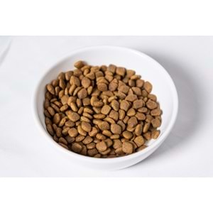 Fresh Ultra Premium Hipoalerjenik Tavuklu Kısır Kedi Maması 10 KG​