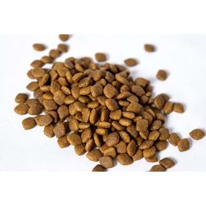 Fresh Ultra Premium Hipoalerjenik Tavuklu Kısır Kedi Maması 10 KG​