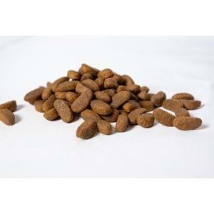 Fresh Ultra Premium Hipoalerjenik Kuzulu Yetişkin Kısır ve Light Köpek Maması 10 KG