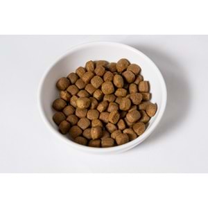 Fresh Ultra Premium Hipoalerjenik Tavşanlı, Balkabaklı ve Hindili Köpek Maması 10 KG