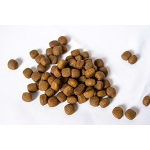 Fresh Ultra Premium Hipoalerjenik Tavşanlı, Balkabaklı ve Hindili Köpek Maması 10 KG