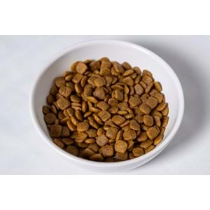 Fresh Ultra Premium Hipoalerjenik Kuzulu Küçük Irk Köpek Maması 2 KG