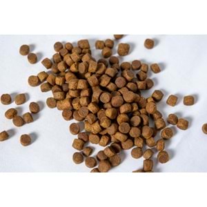Fresh Ultra Premium Hipoalerjenik Somonlu Küçük Irk Köpek Maması 2 KG