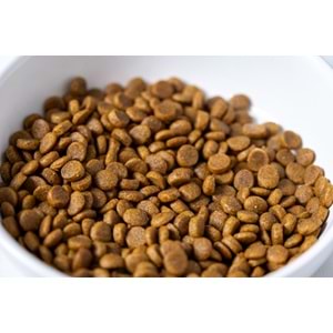 Fresh Ultra Premium Hypoallergenic Kuzulu Anne ve Yavru Kedi Maması 1.5 KG