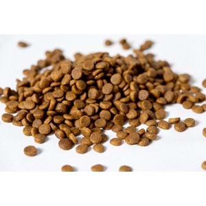 Fresh Ultra Premium Hypoallergenic Kuzulu Anne ve Yavru Kedi Maması 1.5 KG