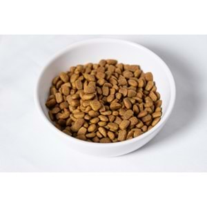 Fresh Ultra Premium Hipoalerjenik Somonlu Kısır Kedi Maması 1,5 KG