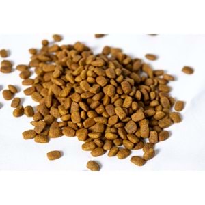 Fresh Ultra Premium Hipoalerjenik Somonlu Kısır Kedi Maması 1,5 KG
