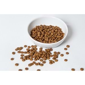 Fresh Ultra Premium Hipoalerjenik Urinary Tavuklu Yetişkin Kedi Maması 1,5 KG