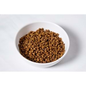 Fresh Ultra Premium Hipoalerjenik Kuzulu 7 Yaş Üzeri Kedi Maması 10 KG