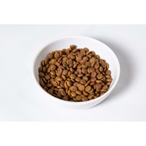Fresh Ultra Premium Hipoalerjenik Tavuklu Urinary Yetişkin Kedi Maması 10 KG