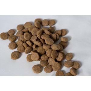 Jada Life Kuzu ve Pirinçli Yetişkin Köpek Maması 12+3 KG