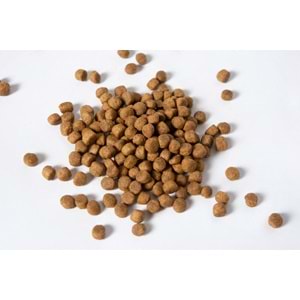 Jada Life Kuzulu ve Pirinçli Yavru Köpek Maması 10+2KG