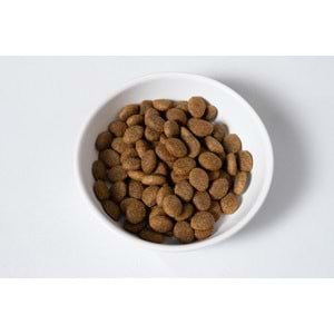 Jada Life Kuzulu ve Pirinçli Yetişkin Köpek Maması 15 KG