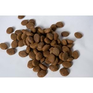 Jada Life Kuzulu ve Pirinçli Yetişkin Köpek Maması 15 KG