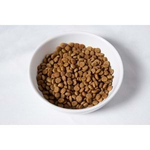 Jada Life Somonlu Yetişkin Kedi Maması 15 KG