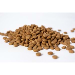 Jada Life Somonlu Yetişkin Kedi Maması 15 KG