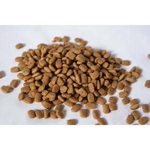 Jada Life Tavuklu Yetişkin Kedi Maması 15 KG