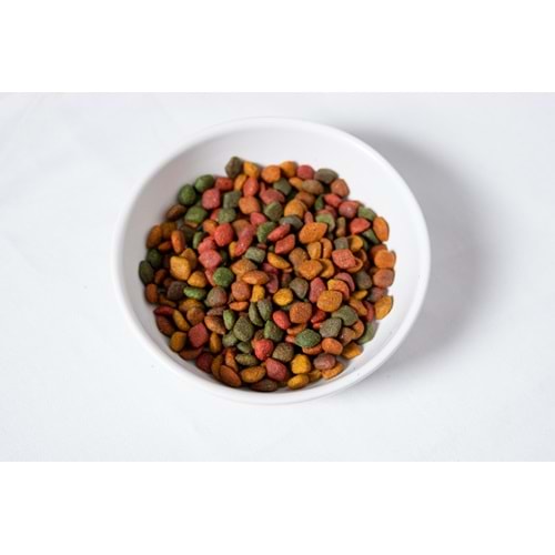 Jada Life Karışık Lezzetli Yetişkin Köpek Maması 12+3 KG